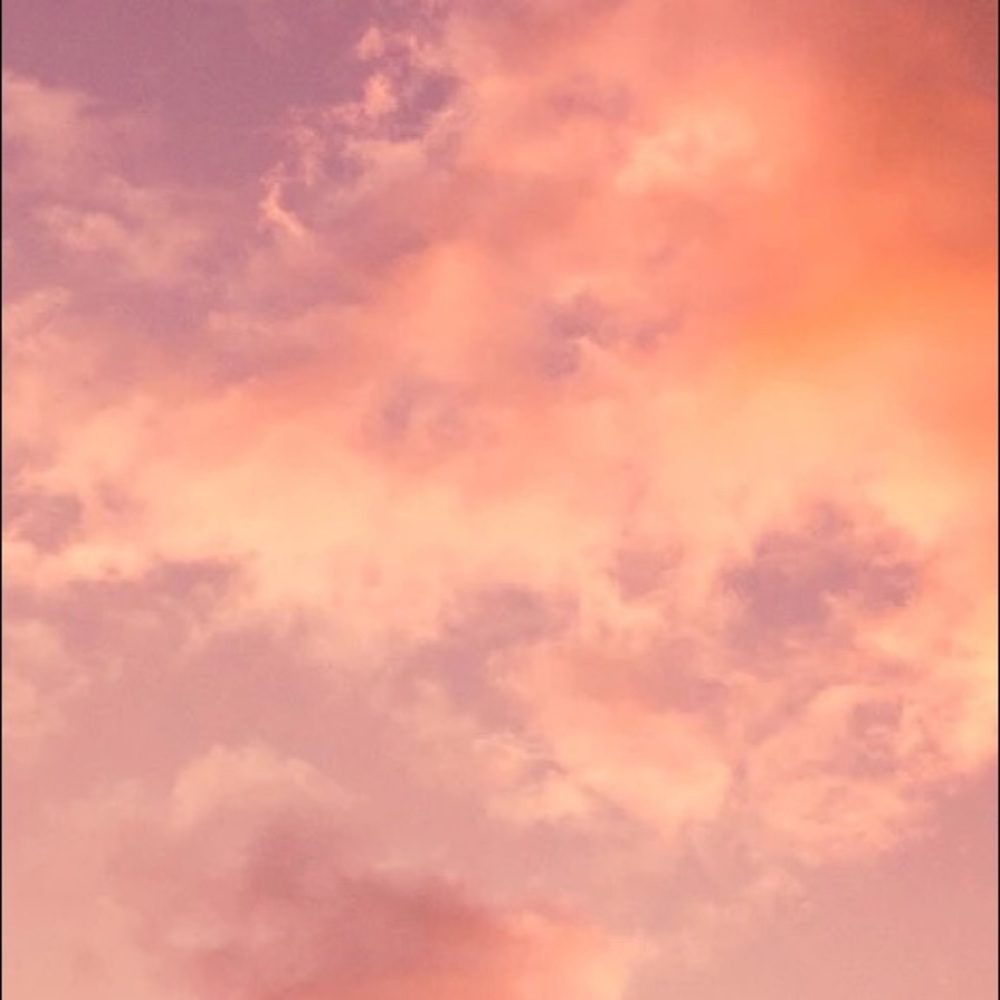 Meet your Posher, Tilly